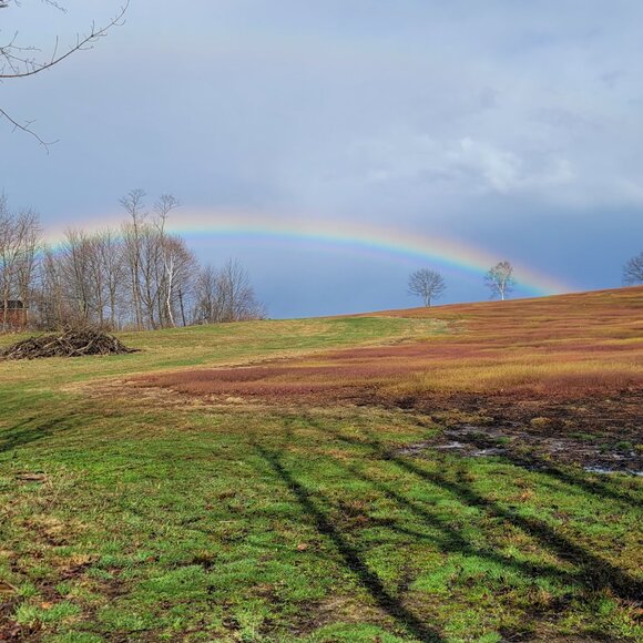 Meet your Posher, Maci - Picture 8 of 11